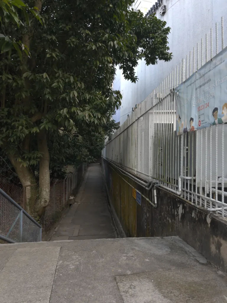 path to braemer hill