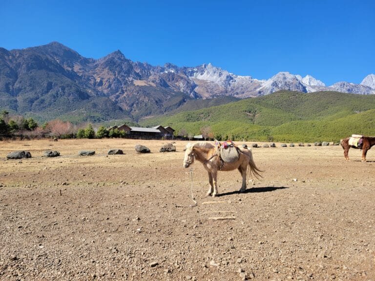lijiang ancient town in yunnan china