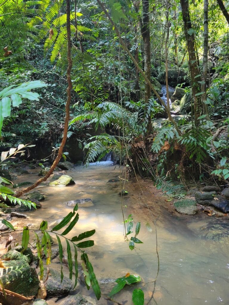hiking in kuala lumpur