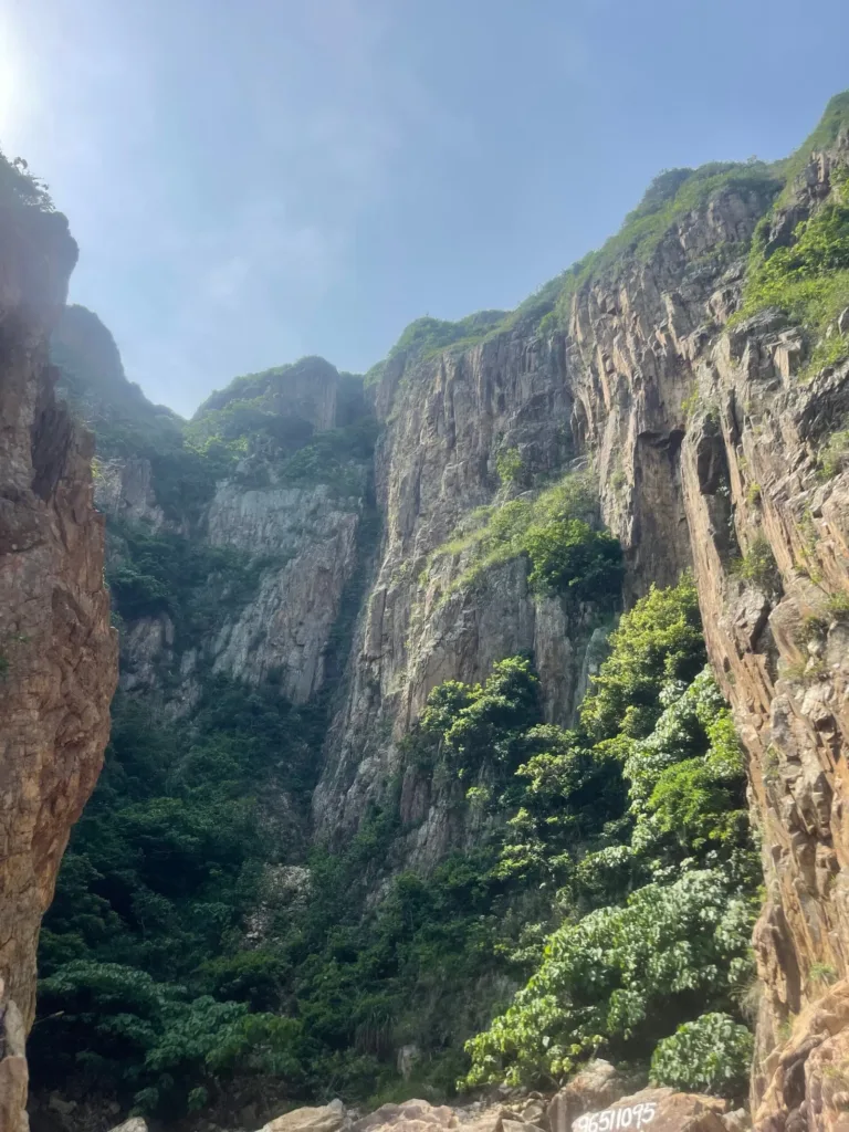 nature on hong kong islands