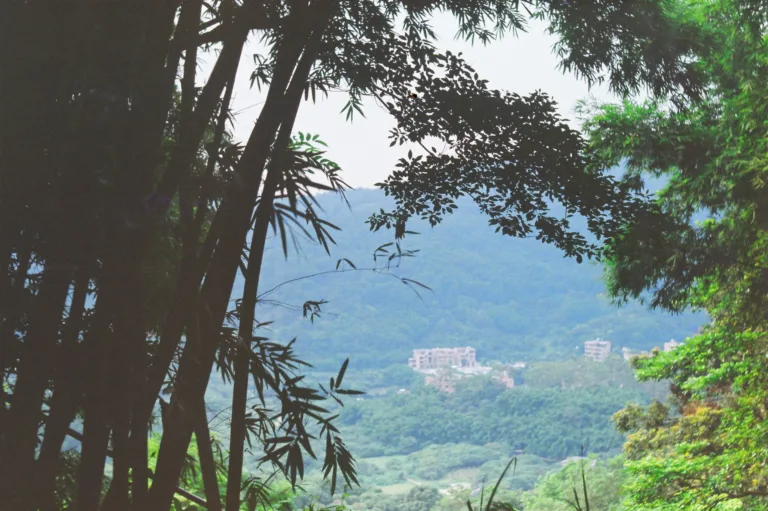 malaysia travel